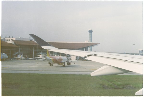 Quels sont les meilleurs spots pour observer les dauphins en Croatie?